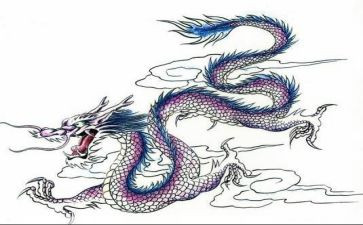 龙舟赛心得体会5篇