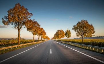 道路交通安全主心得体会最新7篇