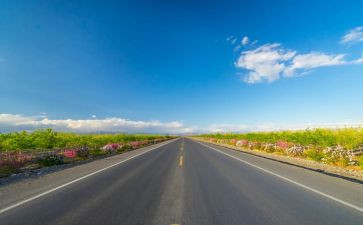校园的路小学生演讲稿优秀8篇
