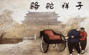 卖骆驼读后感7篇