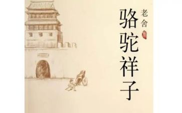 小骆驼教案7篇