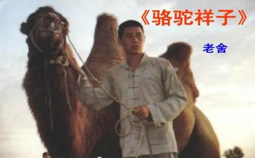 骆驼祥子心得体会4百字5篇