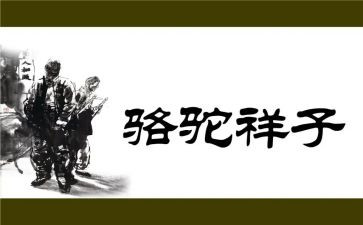 骆驼心得体会优质7篇