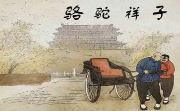小骆驼教案优质6篇