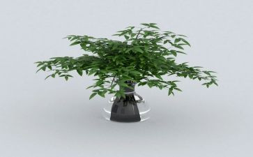 绿化修剪合同6篇
