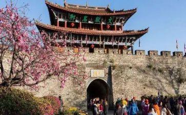 旅游工作总结优秀5篇