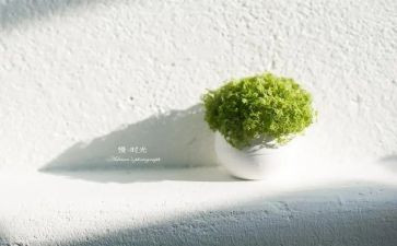 慢游戏培训心得体会8篇