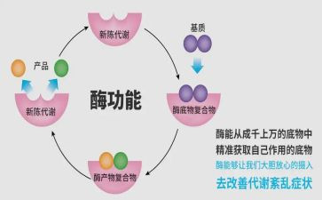 酶实验心得体会参考8篇