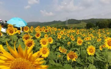 自立自强美德少年事迹材料8篇
