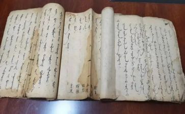 蒙医医师个人述职报告模板5篇