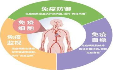 村计划免疫工作计划5篇