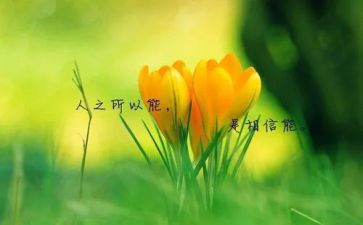 中外名人故事读后感7篇