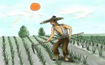 悯农二教案优质7篇