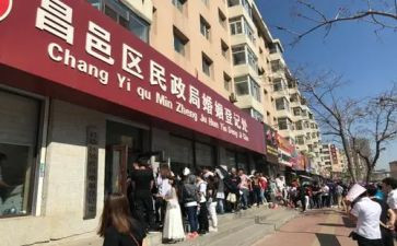 县民政局工作总结6篇
