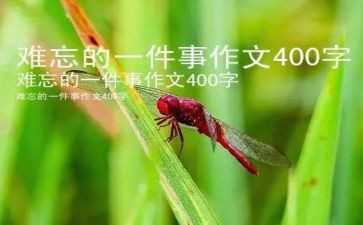 我最难忘的一件事作文精选8篇
