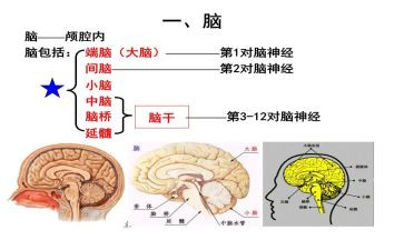 卖电脑的合同优质8篇