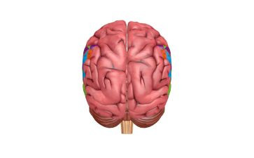 脑外科护士个人总结8篇