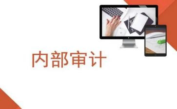 县内审工作计划8篇