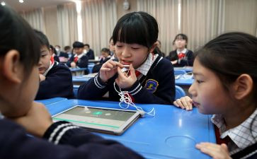 小学年级主任年度工作计划5篇