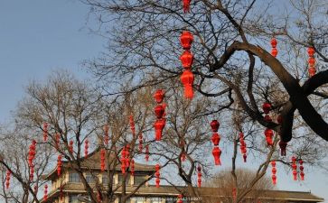 关于年味的作文精选8篇