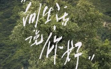 刘和珍你好作文模板7篇