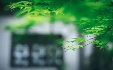 逆境转顺境的演讲稿7篇