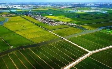 2024年农业心得体会最新6篇