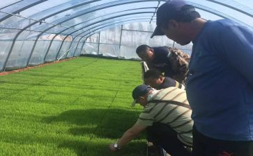 助理农艺师工作总结7篇