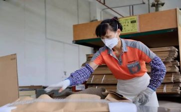 分工会女工工作计划8篇