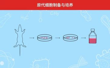 培养教师心得5篇
