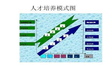 青教培养工作总结精选5篇