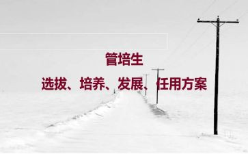 青年培养工作计划5篇