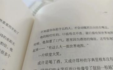 皮囊读后感5篇