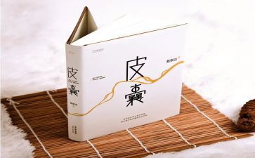 皮囊读后感精选6篇
