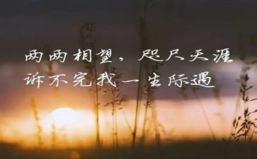 牵挂作文800字作文6篇