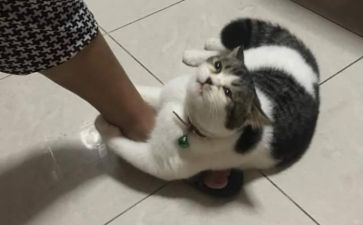 关于写期待的作文6篇