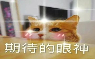 期待作文作文优秀7篇