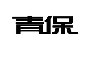 2023青保工作计划参考5篇