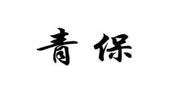 学校青保工作总结报告优秀8篇