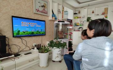 青骄计划个人总结模板8篇
