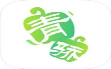 青骄计划个人总结8篇