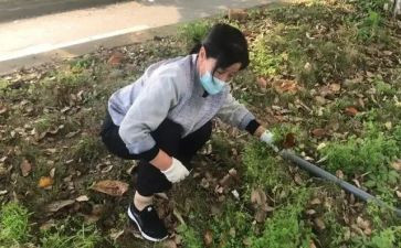 清垃圾工作计划6篇