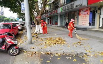 校园清扫活动总结优质6篇