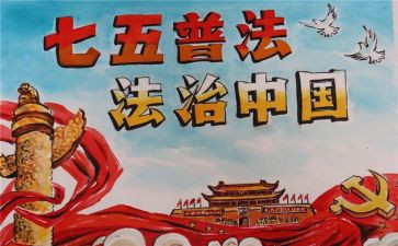 2024年村七五普法工作总结8篇