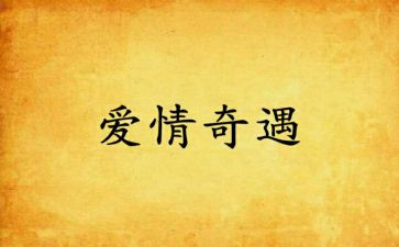 读木偶奇遇读后感优质5篇