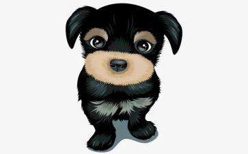 军犬黑子读后感7篇