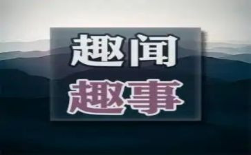 记一件趣事作文8篇