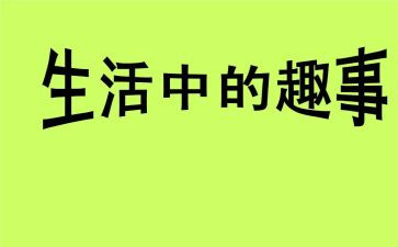 捉趣事作文300字优质5篇