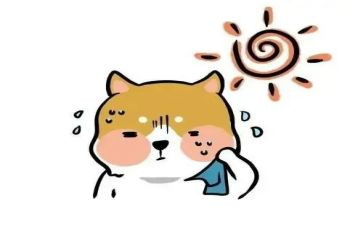 为热爱而活读后感精选6篇