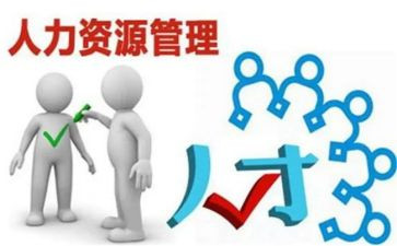人力年度工作计划优质7篇